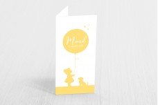 Meisje met ballon